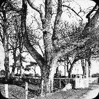 Entrance To The Hermitage, Abbeyside
