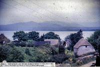 The Pub In The Trees In Ballynagoul, ( Baile Na nGall) Ring