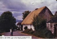New Thatched Roof On Tom Whelan’s House, Ballynagoul, (Baile Na nGall) Ring