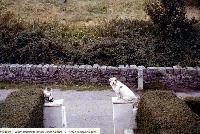 Entrance To Cuddihy’s House, Ballynagoul,( Baile Na nGall) Ring